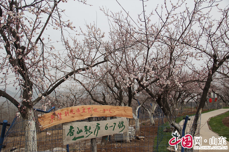 “寻找山东最美绿色乡村”宣传活动启动仪式在淄博博山举行