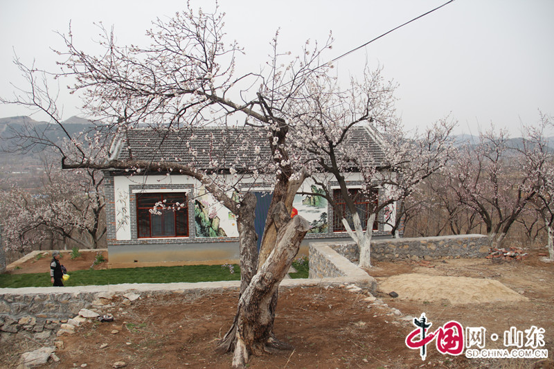 “尋找山東最美綠色鄉村”宣傳活動啟動儀式在淄博博山舉行