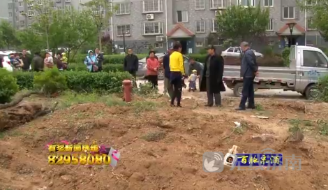 濟南東方聖景小區物業建停車位 大面積綠地被破壞（組圖）