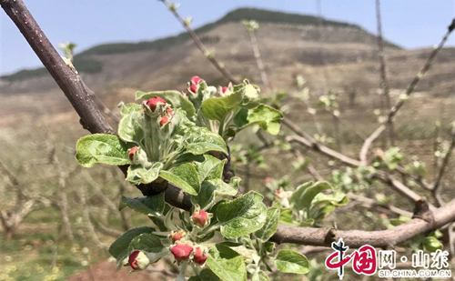 2017首届乡村中国公益助农摄影大赛淄博站启动