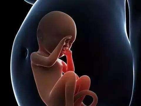 婴儿手握避孕环出生