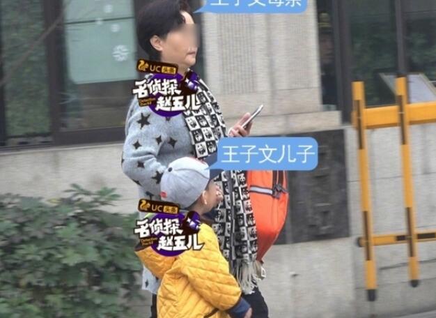 王子文兒子疑曝光 王子文隱婚生子老公資料曝光（圖）