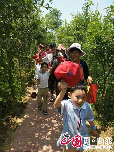 2017中国（罗庄）首届桑葚节华丽开幕（图）