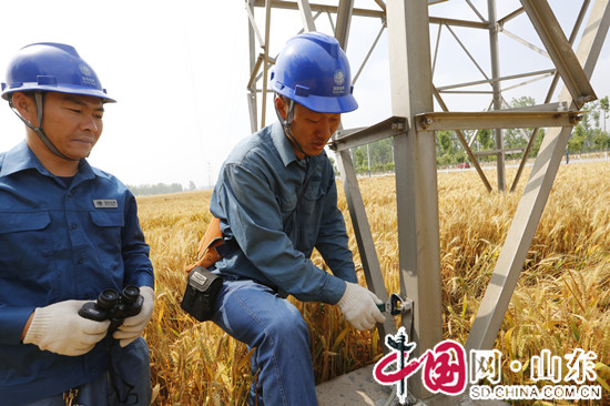 濱州供電公司全力保障“三夏”供電 助力農民增産增收