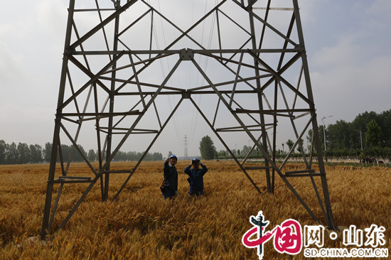 濱州供電公司全力保障“三夏”供電 助力農民增産增收
