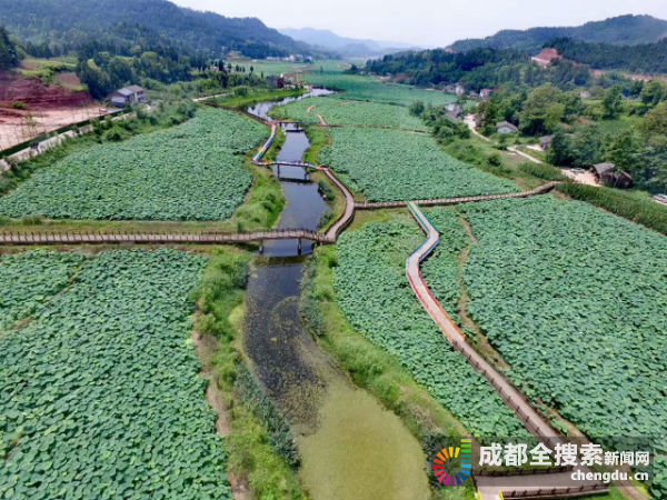 今日,遂宁市十里荷画景区正式开园,景区里