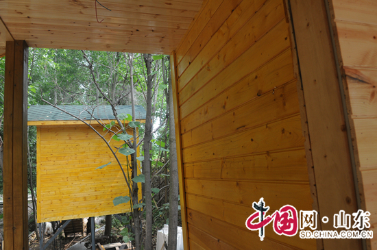 山東淄川：木屋建在森林公園 休閒納涼添新景觀（圖）