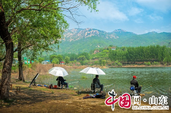 盛夏曲阜九仙山森林美景如画吸引游客（图）