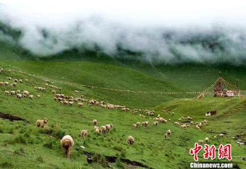 资料图：夏日的祁连山。郎文瑞 摄