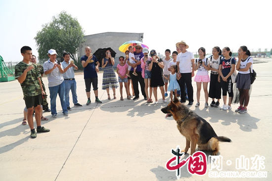 東營：中學生走進消防搜救犬基地參觀體驗(組圖)