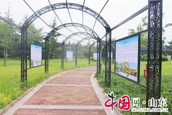 日照莒縣沭河公園精心打造濕地科普長廊