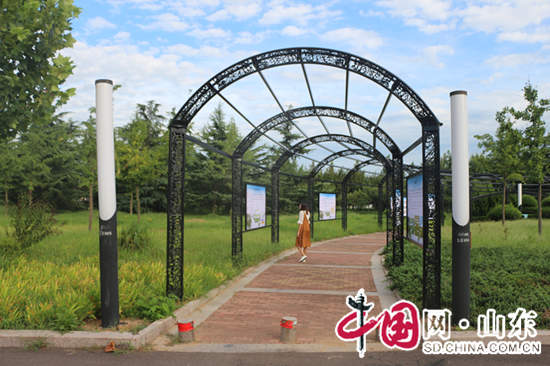 日照莒縣沭河公園精心打造濕地科普長廊