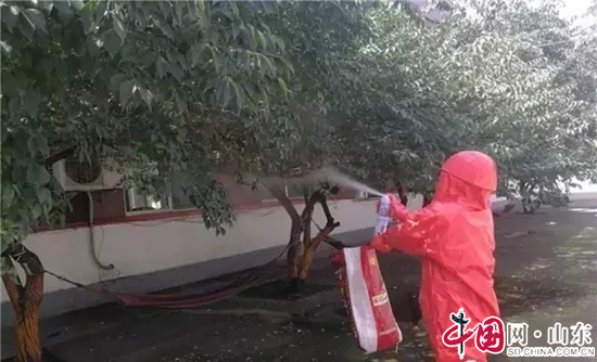 濱州：幼兒園驚現10個馬蜂窩 消防官兵成功摘除