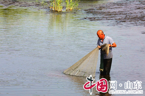 淄博市淄川区孝妇河上打渔人（组图）