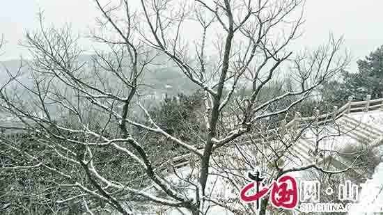 山東臨沂迎今冬初雪 沂蒙山龜蒙景區銀裝素裹美如畫