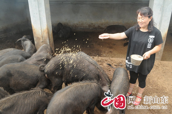 山东淄川：农家女变身新型职业农民