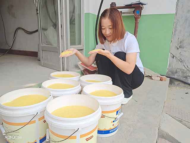 平阴县刘家庄村党支部书记郭晶打算把村民的小米直播卖出去。