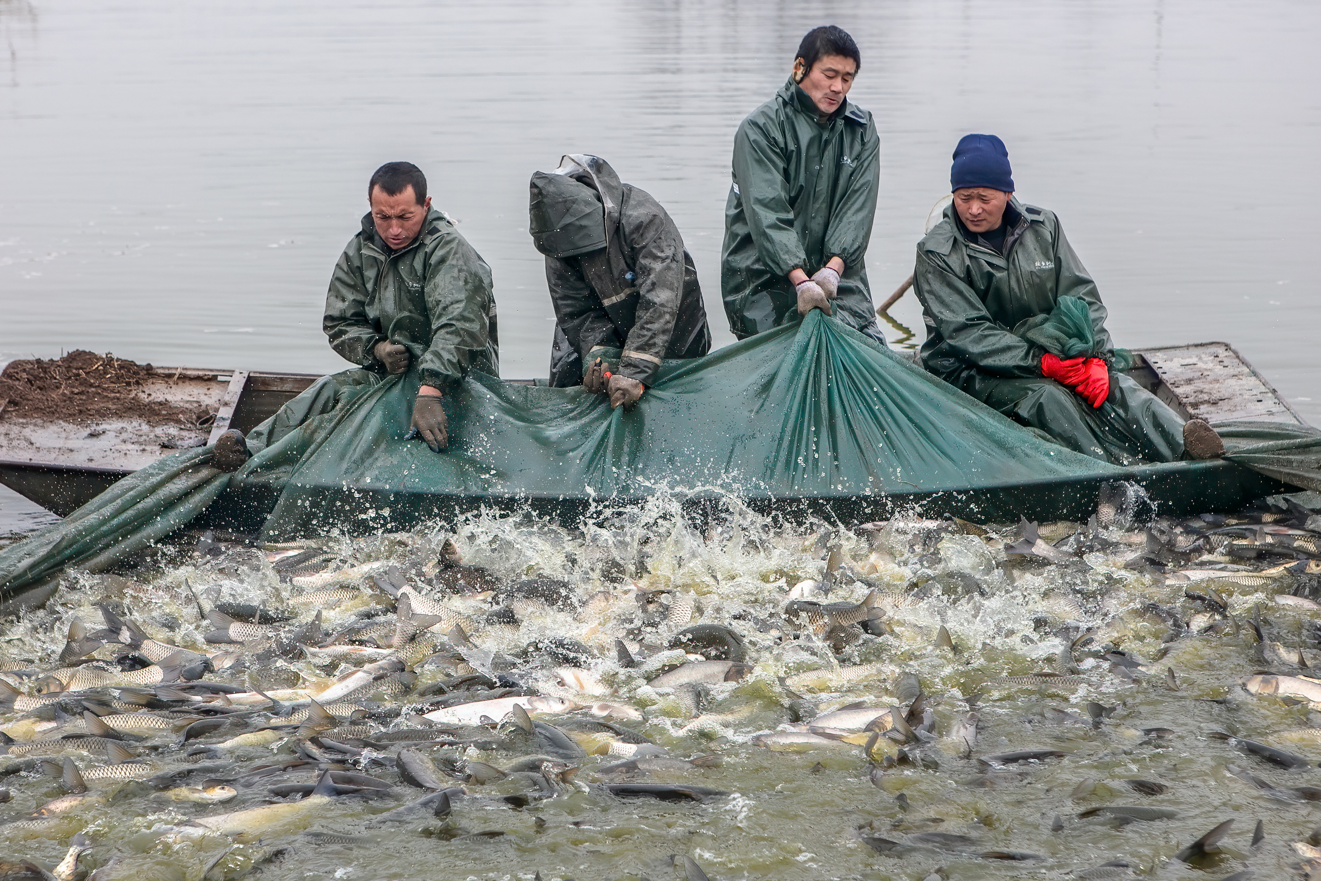 2021年1月24日，微山縣漁民們在拉網捕魚。（李立）
