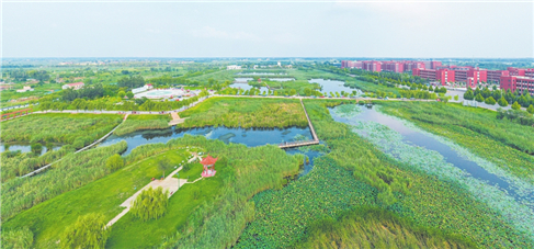 德州夏津将打造北方平原区示范湿地