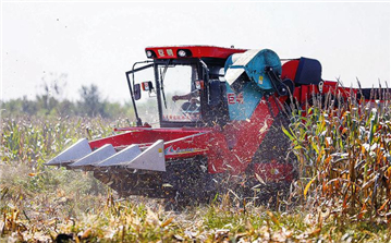 滨州市516台履带式玉米收获机湿地作业显身手
