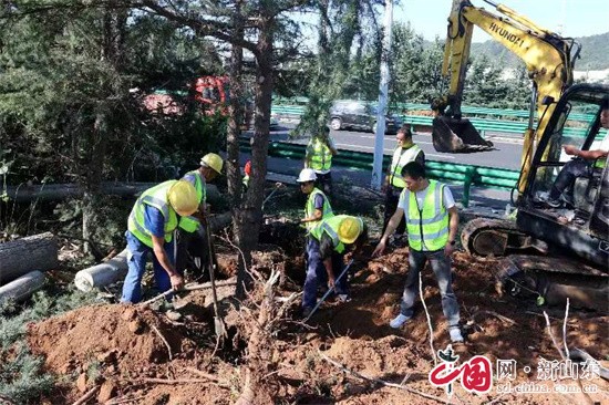 青岛市交通运输局公路材料K1体育 K1体育娱乐供应处加快推进重点工程绿化迁移项目(图2)